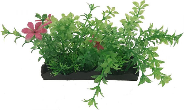 Penn Plax Green and Pink Bunch Plants Medium
