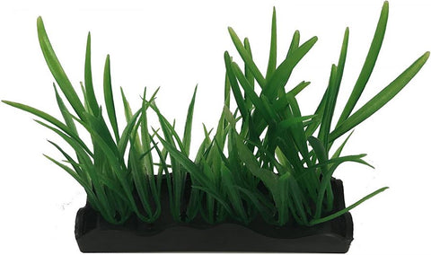 Penn Plax Harigrass Bunch Plant Medium