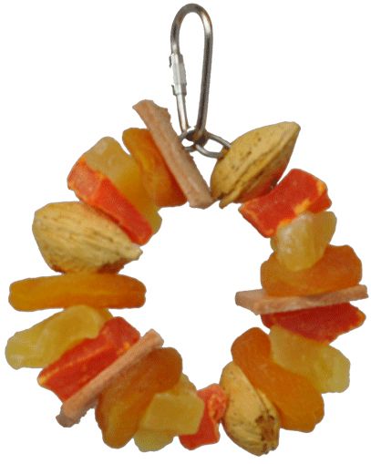 AE Cage Company Happy Beaks Fruit and Nut Ring Jr Tropical Delight
