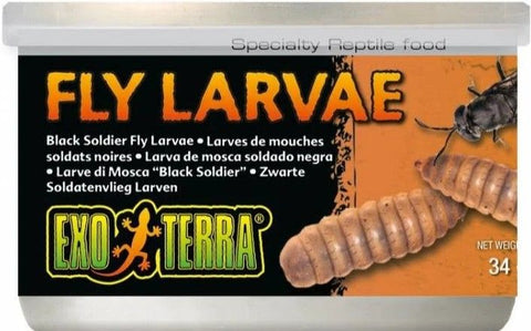 Exo Terra Canned Black Soldier Fly Larvae Specialty Reptile Food